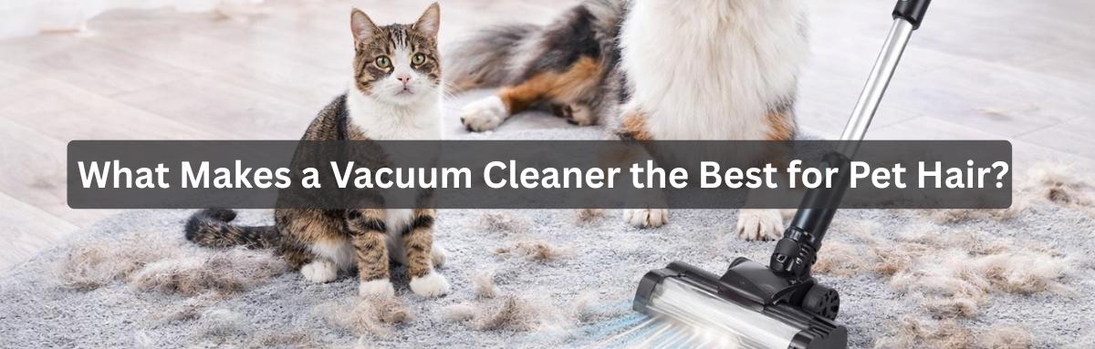 Deep cleaning and maintenance for how to clean vacuum cleaner attachments for pet hair removal