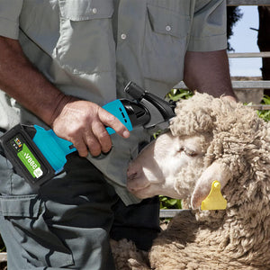 Person using a electric shearing machine on a sheep