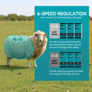 Sheep with a shearling cover in a field, with text about 6-speed regulation for shearing equipment.